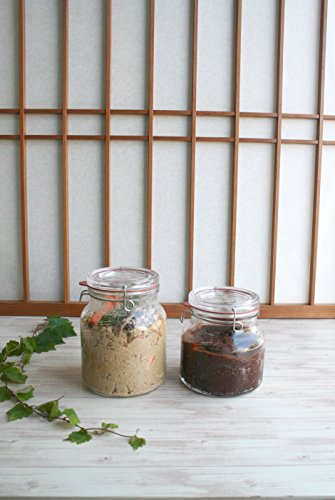 Luigi Bormioli Lock-Eat Handy Jar 67.75 Ounce (2 Liters) - Pack of 2