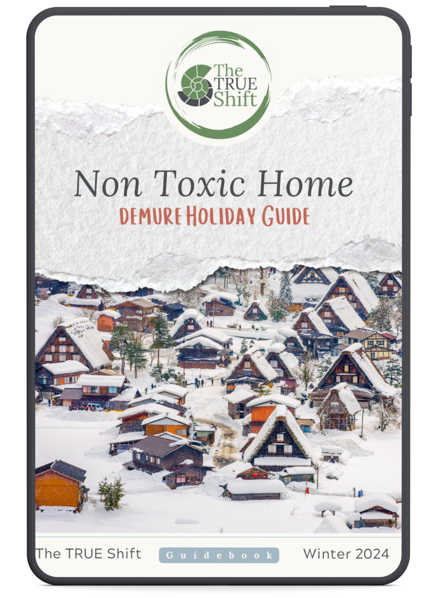 Non-Toxic Holiday Guidebook