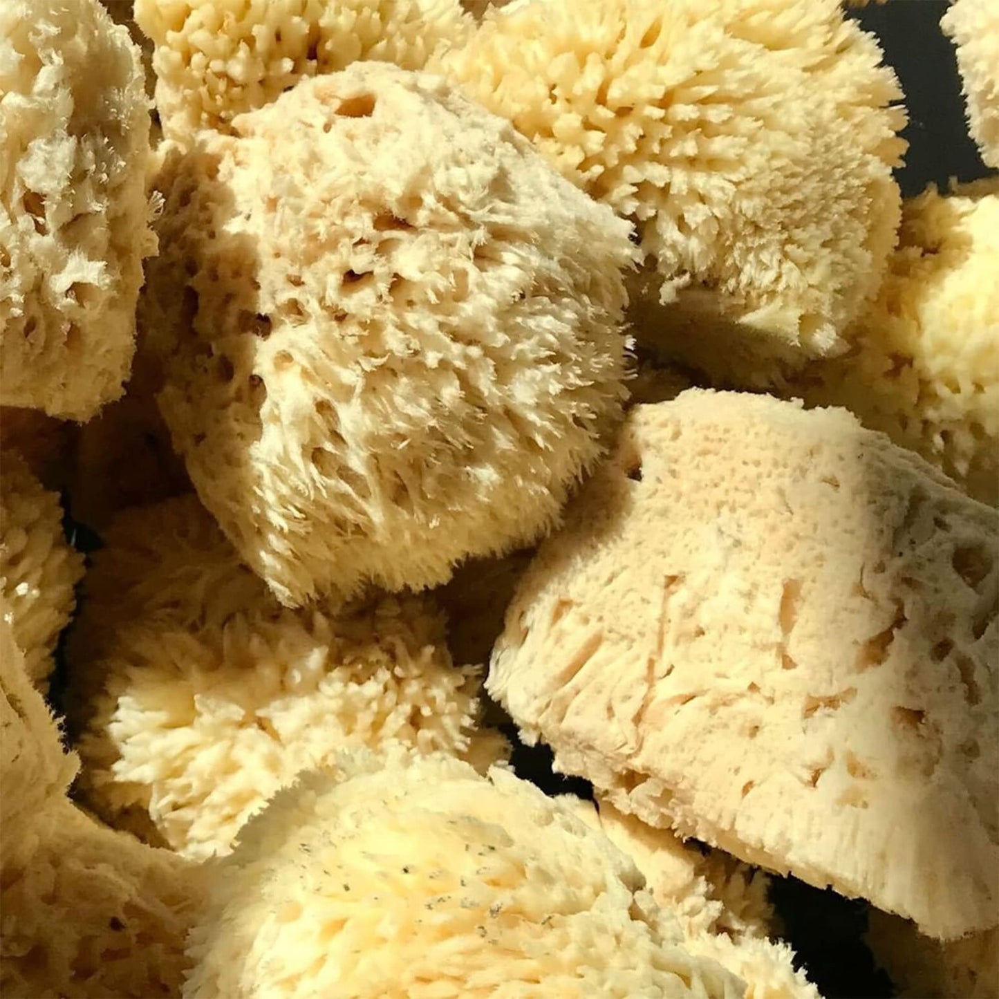 The Tribalist - LATHER: Natural Sea Wool Bath Sponge