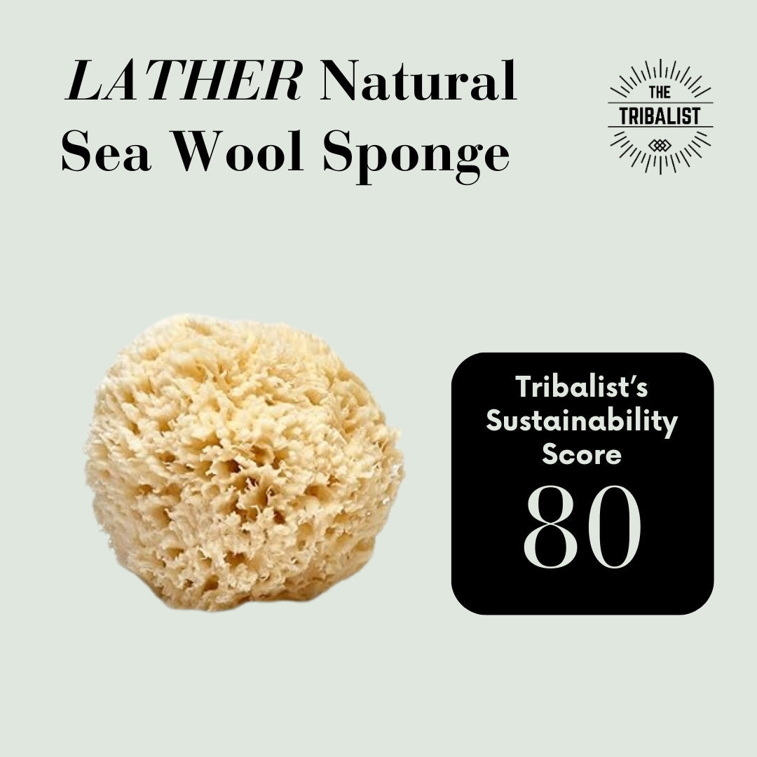 The Tribalist - LATHER: Natural Sea Wool Bath Sponge