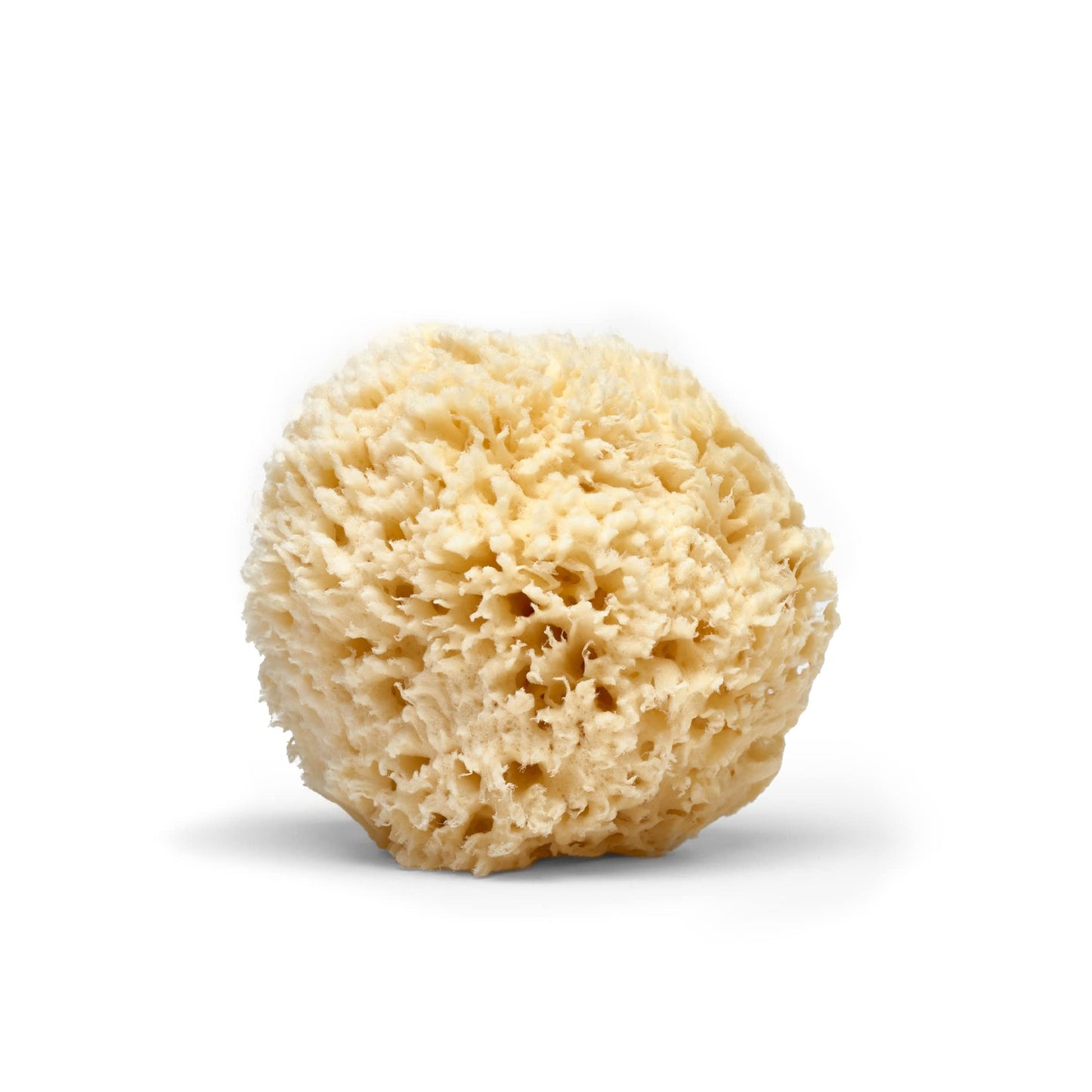 The Tribalist - LATHER: Natural Sea Wool Bath Sponge