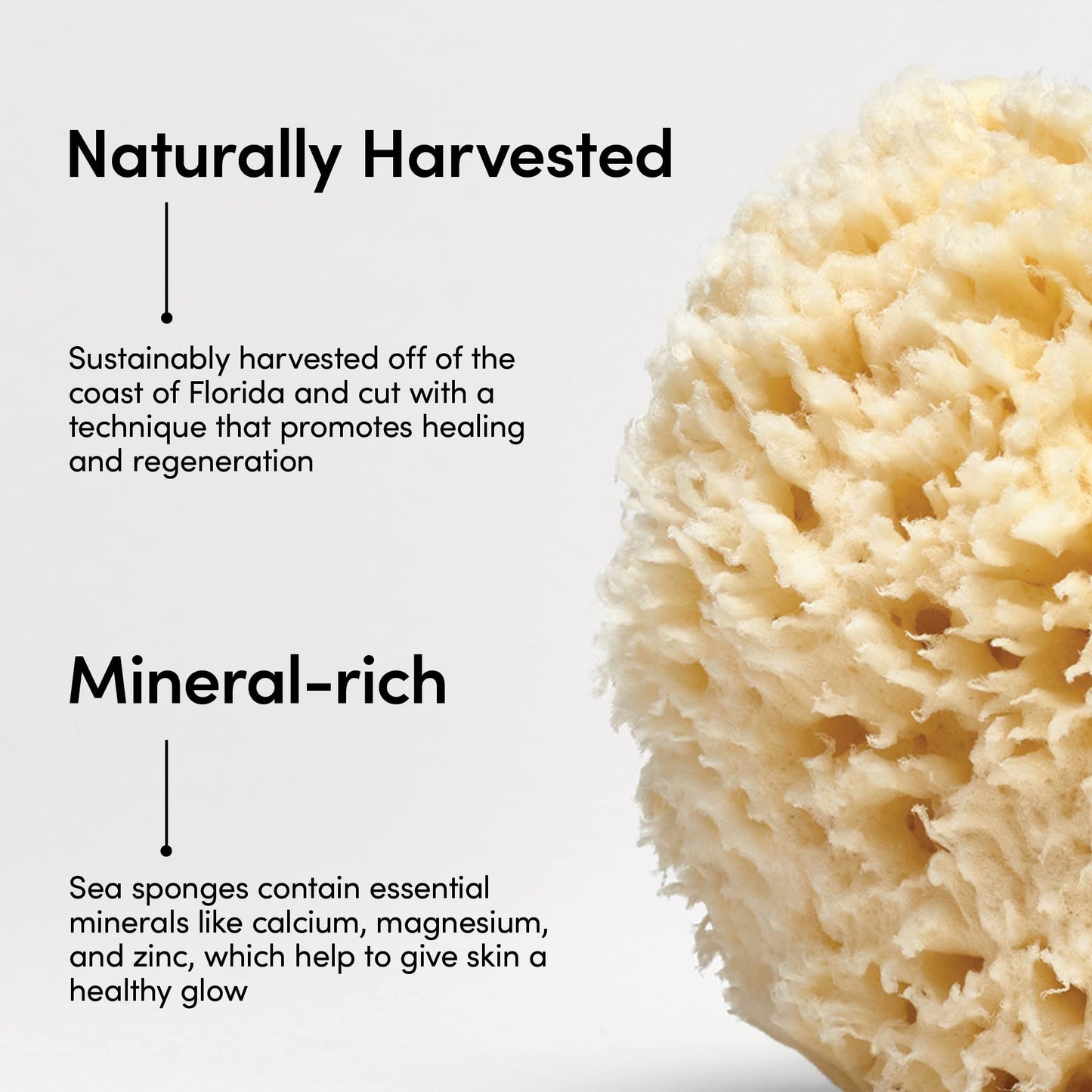 The Tribalist - LATHER: Natural Sea Wool Bath Sponge