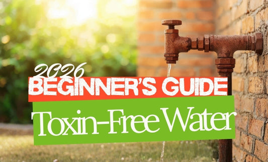 Water Filtration Made Simple: A Beginner's Quick-Start to Cleaner Water