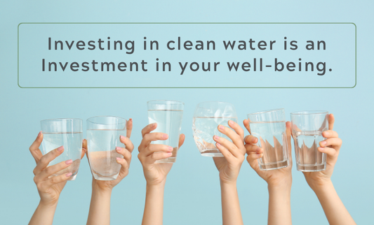 Clean Water, Clean Living: A Guide to Choosing the Right Filtration System