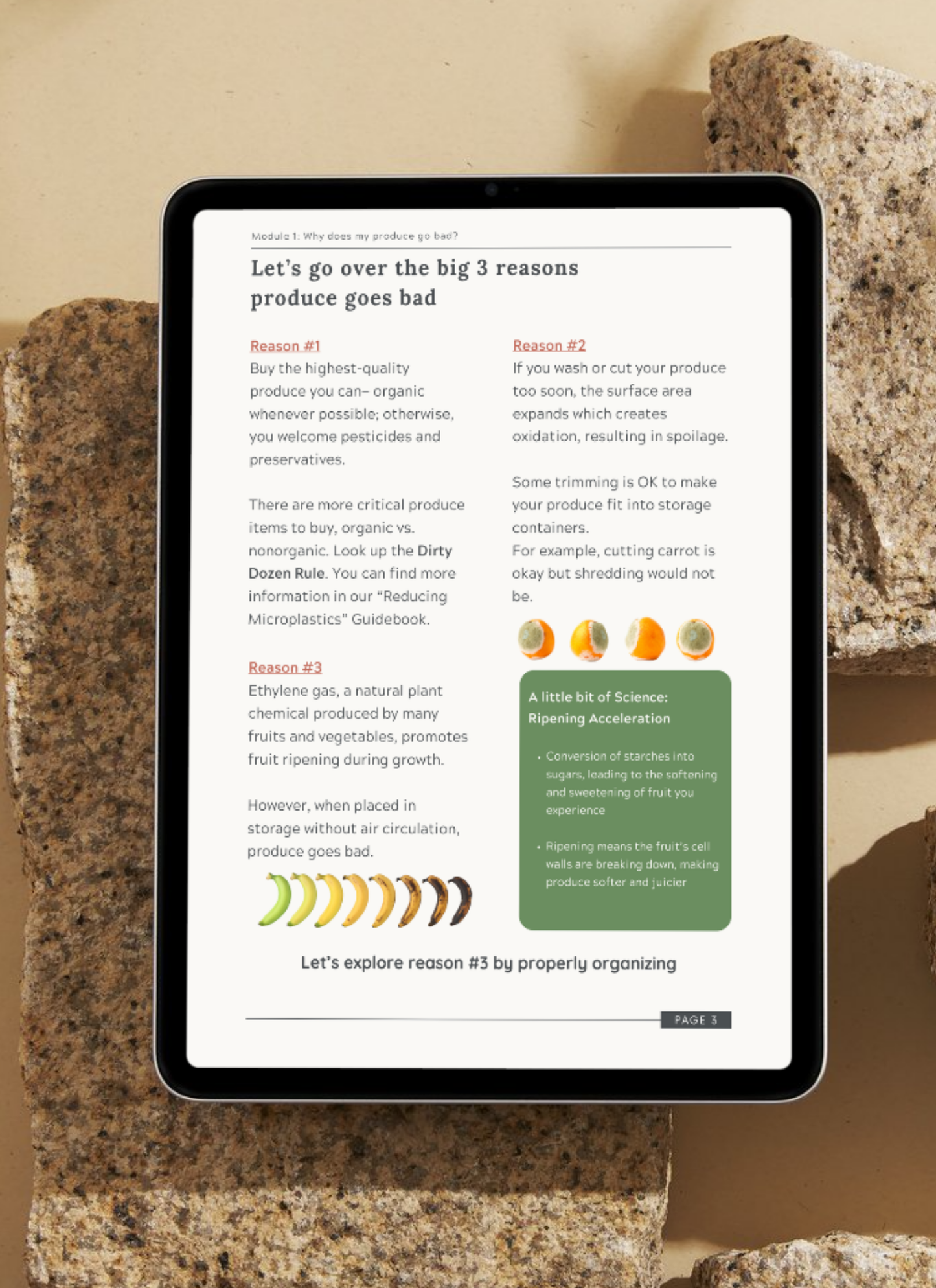 Produce Organization Guidebook