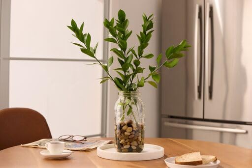 Ball Wide Mouth Half-Gallon 64-Ounce Glass Mason Jars (Set of 12)