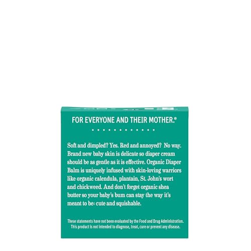Earth Mama Organic Diaper Balm: Zinc-Free Botanical Purity