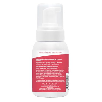 Earth Mama Simply Non-Scents: Organic Foaming Castile Refill
