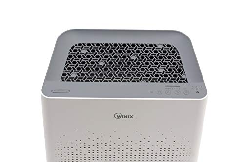 WINIX 5500-2: True HEPA Purifier with Washable Carbon Filter for Odor & VOC Reduction