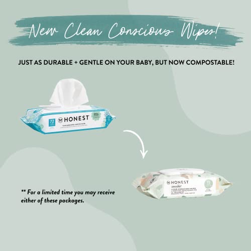 The Honest Company Water Wipes: Plastic-Free Plant Purity