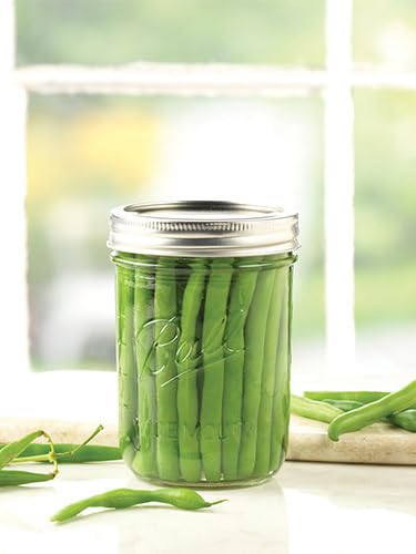 Ball Wide Mouth Pint 16-Ounce Glass Mason Jar with Lids (12-Count)