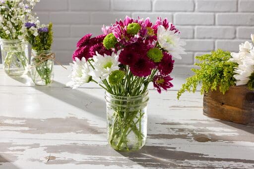 Ball Wide Mouth Pint 16-Ounce Glass Mason Jar with Lids (12-Count)