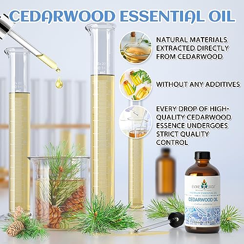 EVOKE OCCU: 100% Pure Clary Sage Essential Oil, 4oz