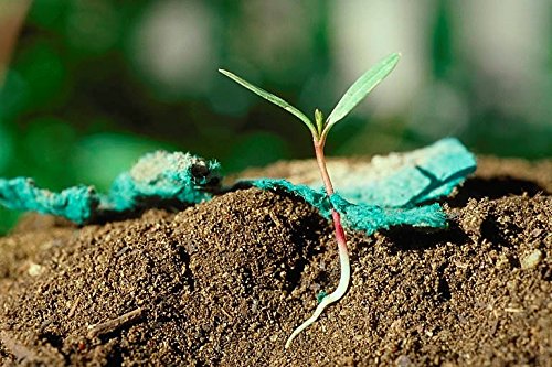 Grows When Planted: Eco-Friendly Seed Paper Cards Made from 100% Post-Industrial Recycled Paper