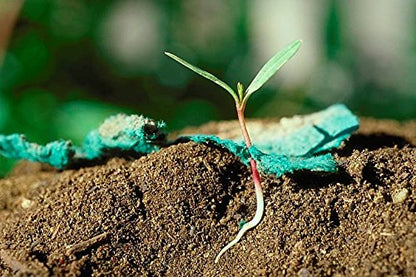 Grows When Planted: Eco-Friendly Seed Paper Cards Made from 100% Post-Industrial Recycled Paper