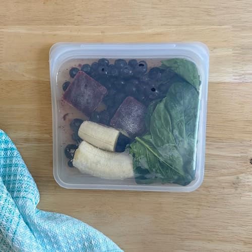 Stasher Premium Silicone Reusable Food Storage Bags (5-Pack Tie Dye)