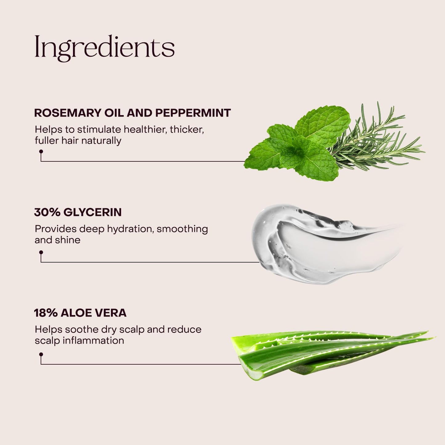Plastic-Free Waterless Fragrance-Free Shampoo Concentrate, Vegan – Everist