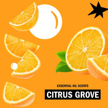 Molly’s Suds Original Laundry Detergent Powder, Chemical-Free Deep Clean for Sensitive Skin