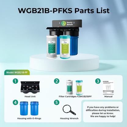Compact Whole-House PFAS & Lead Water Filter, 2-Stage – iSpring WGB21B-PFKS