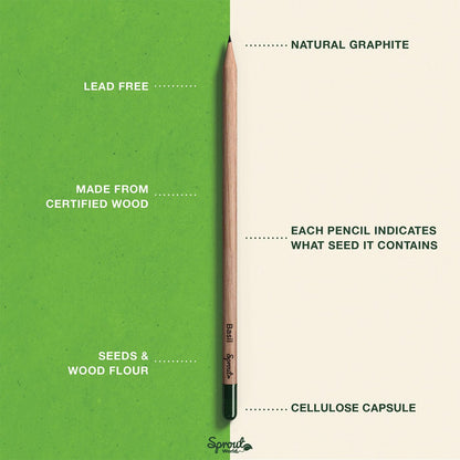 SproutWorld Original Edition Plantable Graphite Pencils (8 Pack)