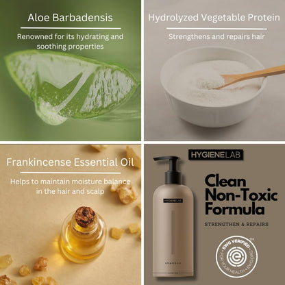 Fragrance-Free EWG Verified Daily Shampoo, Sulfate-Free – HygieneLab