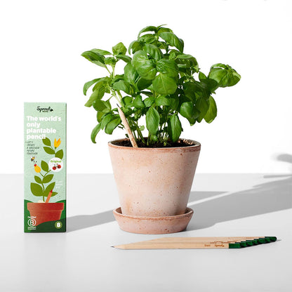 SproutWorld Original Edition Plantable Graphite Pencils (8 Pack)