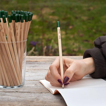 SproutWorld Original Edition Plantable Graphite Pencils (8 Pack)