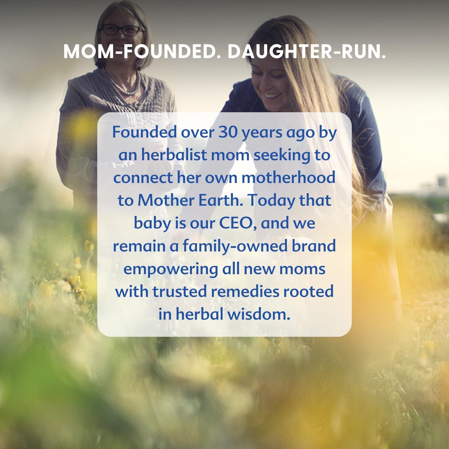 Motherlove Organic Diaper Balm: Herbal Petroleum-Free Relief