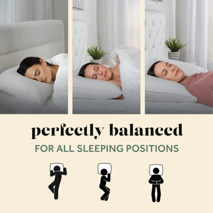 ComfyDown ComfyDream Pillow (King, 50% Down / 50% Feather, 100% Egyptian Cotton)