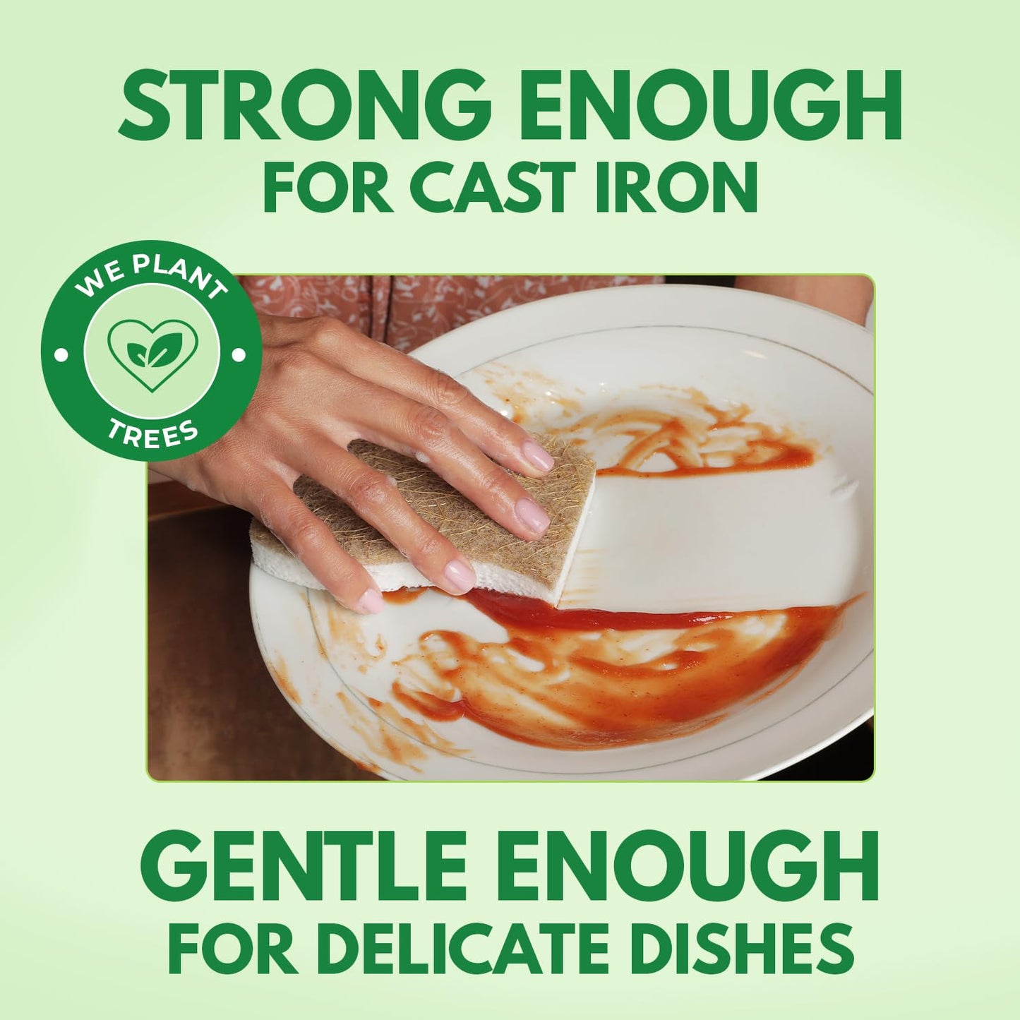 Airnex Biodegradable Natural Kitchen Sponge (24 Pack)