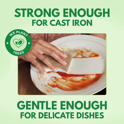 Airnex Biodegradable Natural Kitchen Sponge (24 Pack)