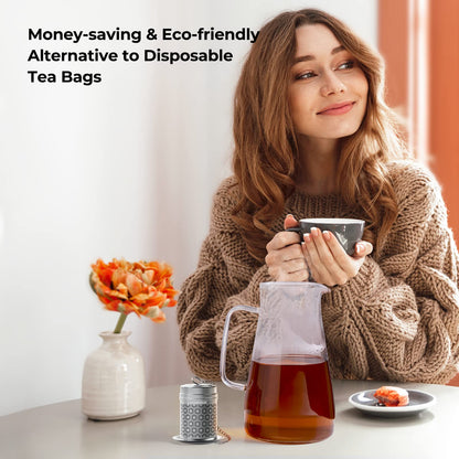 Reinmoson Extra Fine Mesh Stainless Steel Tea Strainer