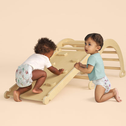 The Honest Company Comfort Dry Diapers: TCF Plant-Based Protection