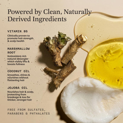 Fragrance-Free Unscented Shampoo Bar for Sensitive Scalp, Vegan – The Earthling Co.