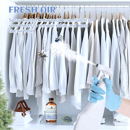 EVOKE OCCU 100% Pure Clary Sage Essential Oil: 4oz Value Size