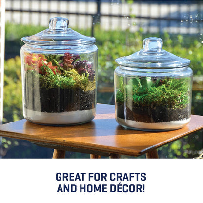 Anchor Hocking Heritage Hill 2-Gallon Glass Jar with Glass Lid