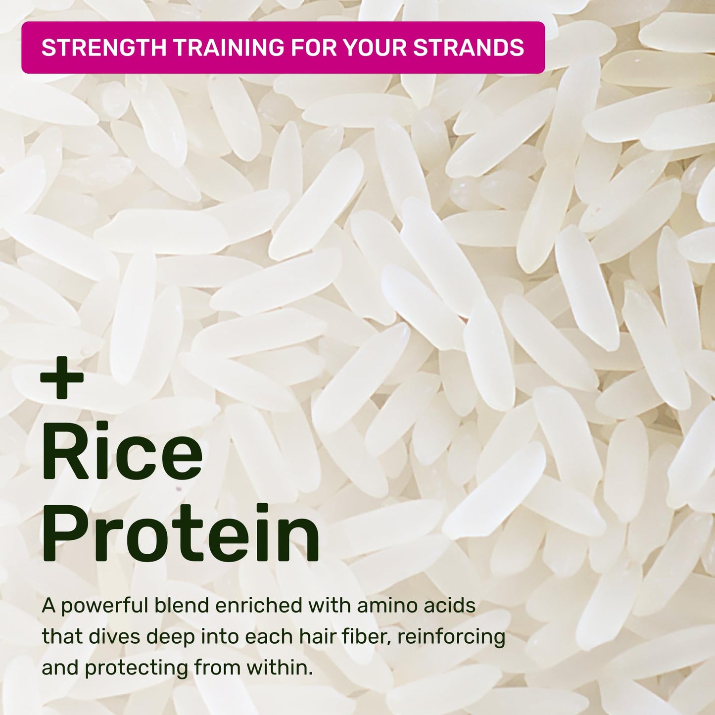 Ethique "Professor Curl" Shea Butter Shampoo Bar: Plastic-Free