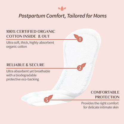 Organyc 100% Certified Organic Cotton Hospital Postpartum Pads