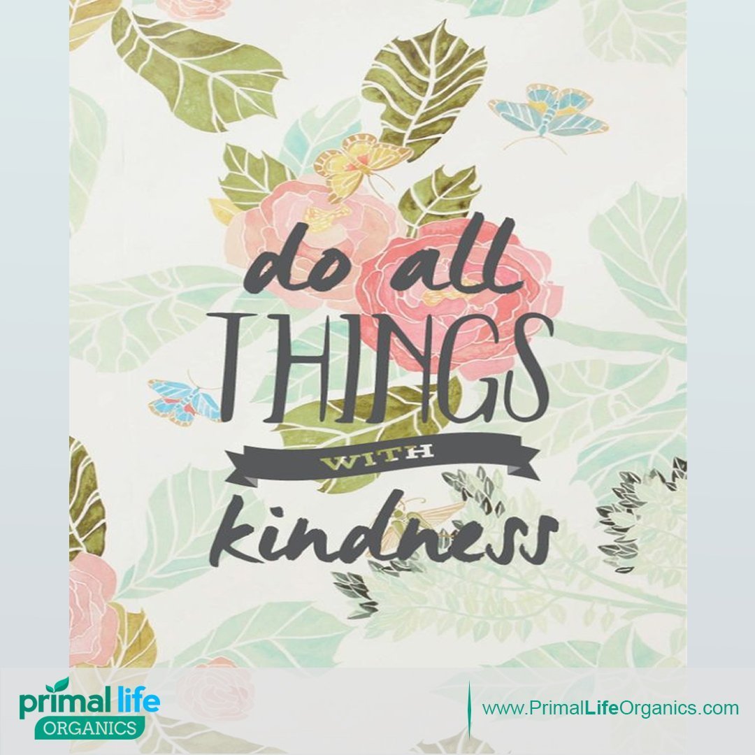 Primal Life Organics: Powdered Mineral Toothpaste, Fluoride - Free, Perfect For All Ages - The Tribalist