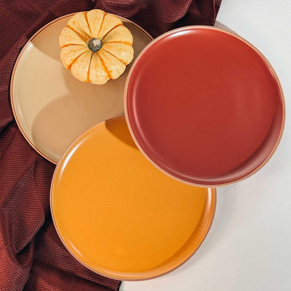Mora Artisan Matte Ceramic Dinner Plates, Set of 6 (10 inch)