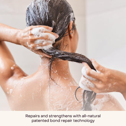 Plastic-Free Waterless Fragrance-Free Shampoo Concentrate, Vegan – Everist
