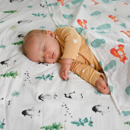 POMISO Muslin Swaddle Pack: 100% Pure Cotton Comfort