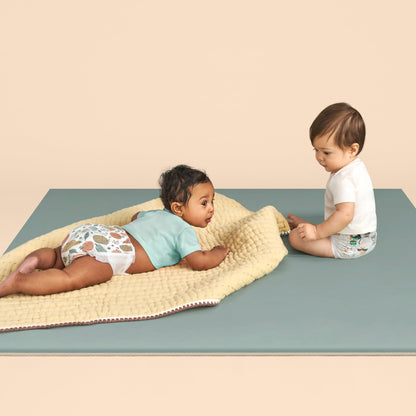 The Honest Company Comfort Dry Diapers: TCF Plant-Based Protection