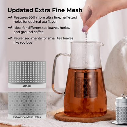 Reinmoson Extra Fine Mesh Stainless Steel Tea Strainer