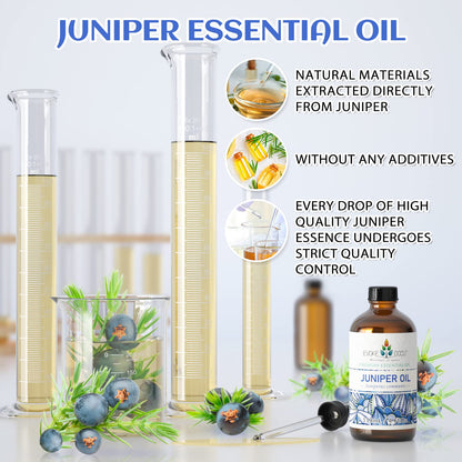 EVOKE OCCU: 100% Pure Clary Sage Essential Oil, 4oz