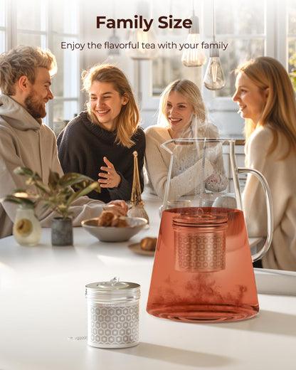 Reinmoson Extra Fine Mesh Stainless Steel Tea Strainer