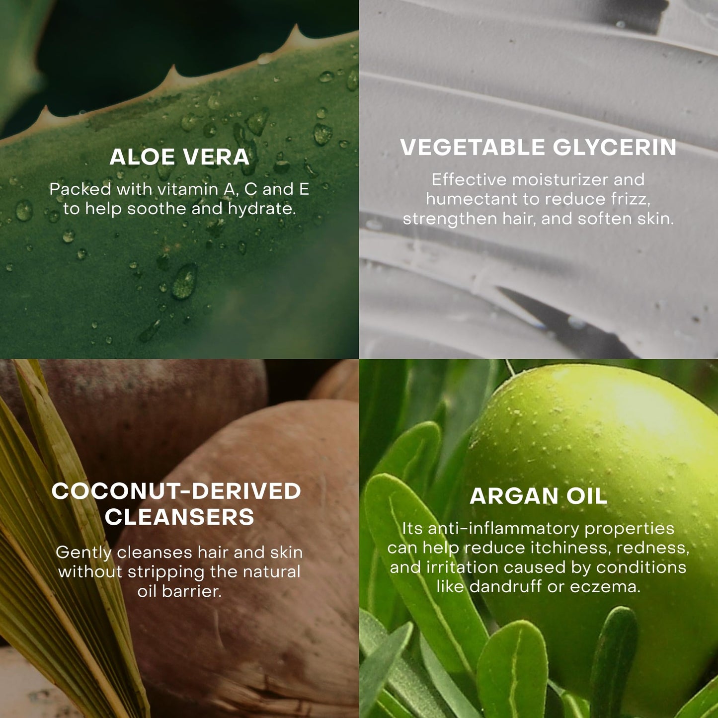 Plastic-Free Waterless Fragrance-Free Shampoo Concentrate, Vegan – Everist