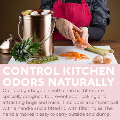 EPICA Countertop Compost Bin – 1.3 Gallon Stainless Steel, Toxin‑Free & Odorless