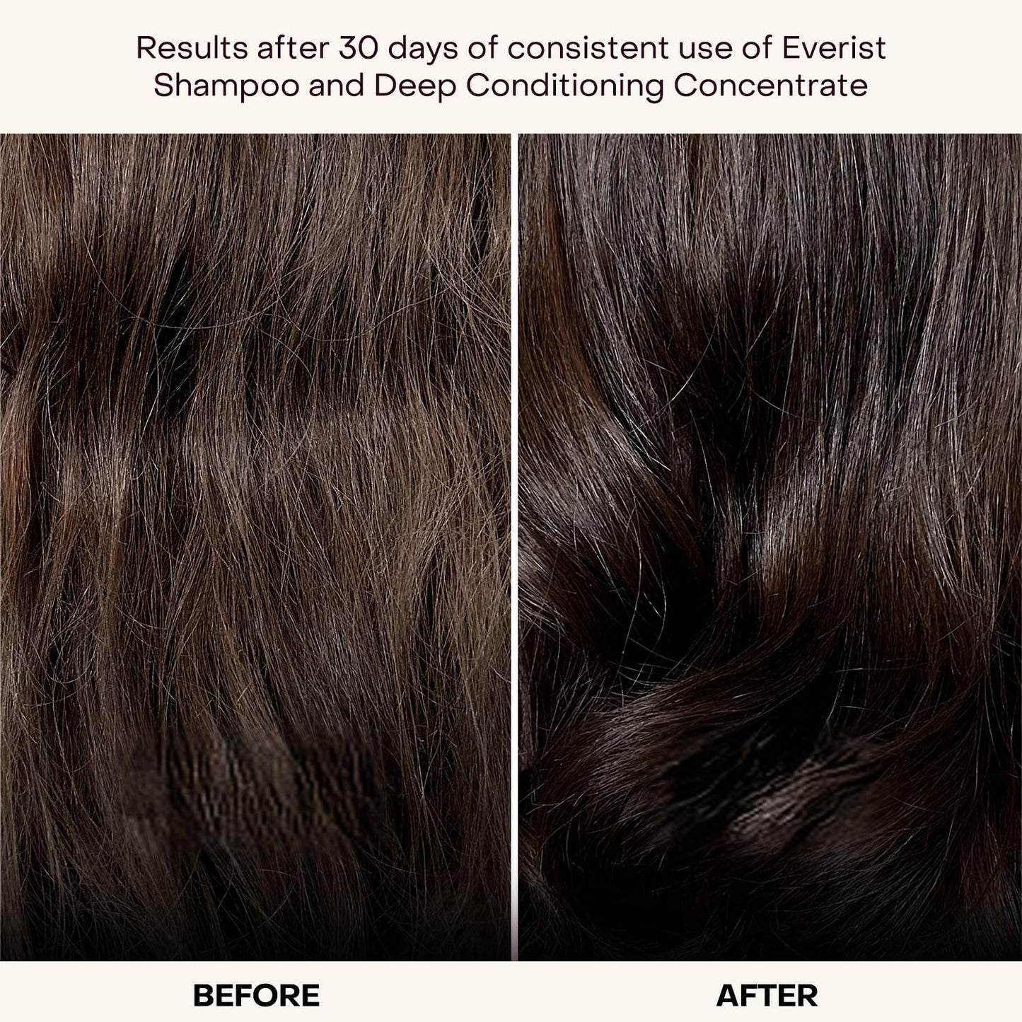 Plastic-Free Waterless Fragrance-Free Conditioner Concentrate, Vegan – Everist