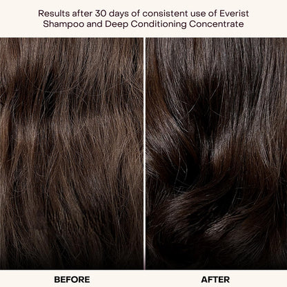 Plastic-Free Waterless Fragrance-Free Conditioner Concentrate, Vegan – Everist